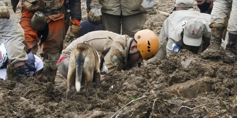 © Tânia Rêgo/Agência Brasil