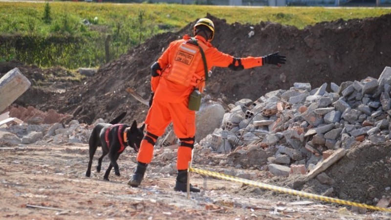 Binômios são especializados na localização de pessoas em áreas de desastres - Foto: Divulgação CBMRS