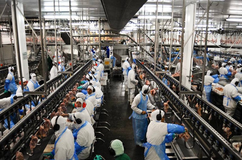 Pelo PL 1.915/2019, trabalhadores de grandes empresas poderão escolher um representante com mandato de 2 anos - Agência Senado