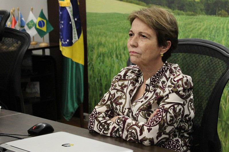 Tereza Cristina, ministra da Agricultura, pode ser convocada pela Comissão de Meio Ambiente - Noaldo Santos/Mapa