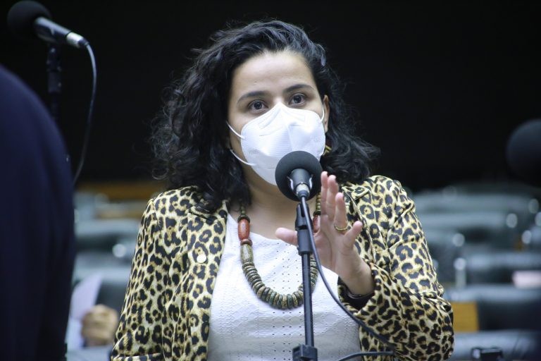 Vivi Reis: muitas vezes quem garante os direitos mais básicos têm os seus próprios violados - (Foto: Paulo Sergio/Câmara dos Deputados)