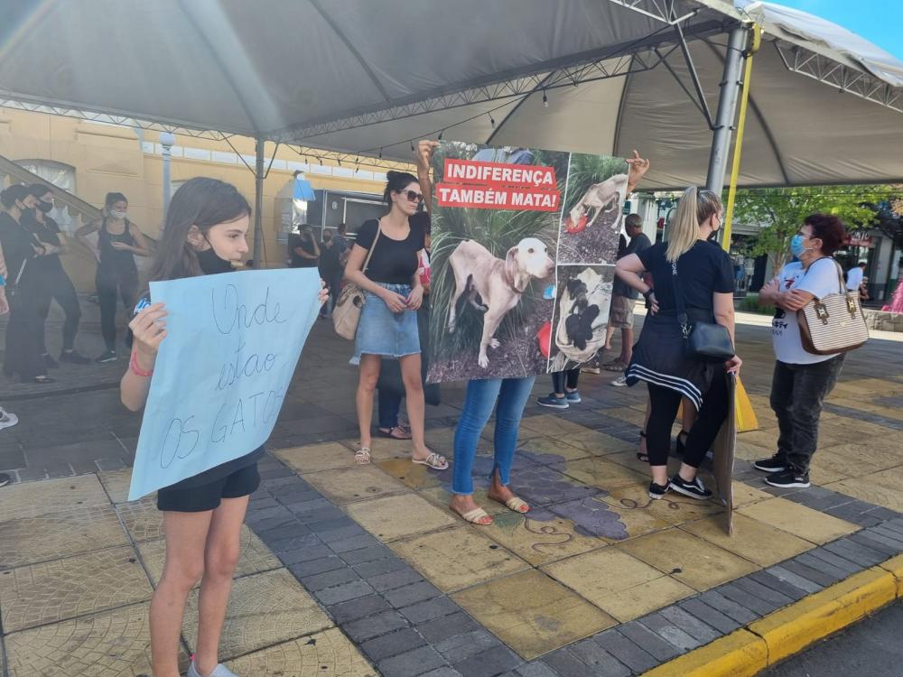 Atentados contra voluntários da causa animal estão ficando cada vez mais sérios - Foto: NB Notícias