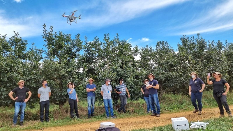 Servidores participaram de treinamento para ampliar capacidade de inspeção de pomares de videira, caquizeiro e macieira - Foto: Fernando Dias / Seapdr