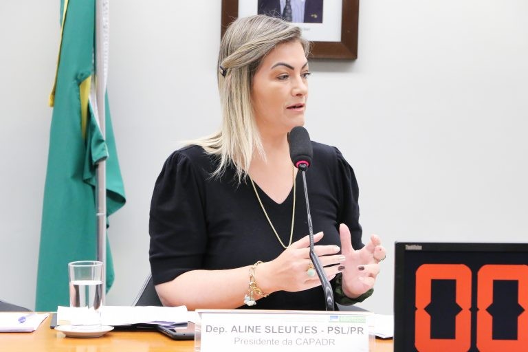 Aline Sleutjes: segurança e previsibilidade para a compra da safra - (Foto: Wesley Amaral/Câmara dos Deputados)