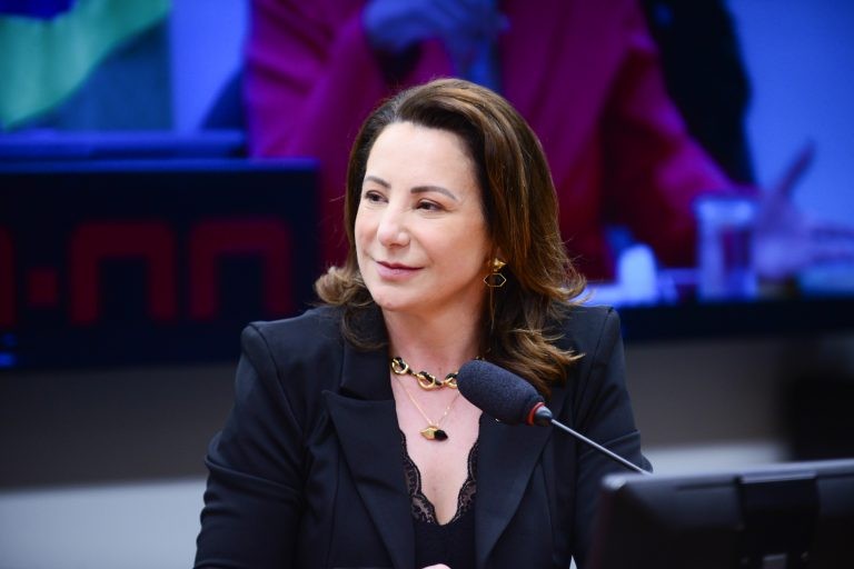 Jaqueline Cassol, autora do projeto de lei - (Foto: Billy Boss/Câmara dos Deputados)