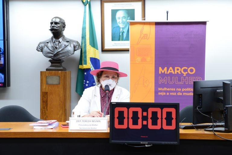 Tereza Nelma reafirmou compromisso com a ampliação da representatividade feminina nas eleições de outubro - (Foto: Billy Boss/Câmara dos Deputados)