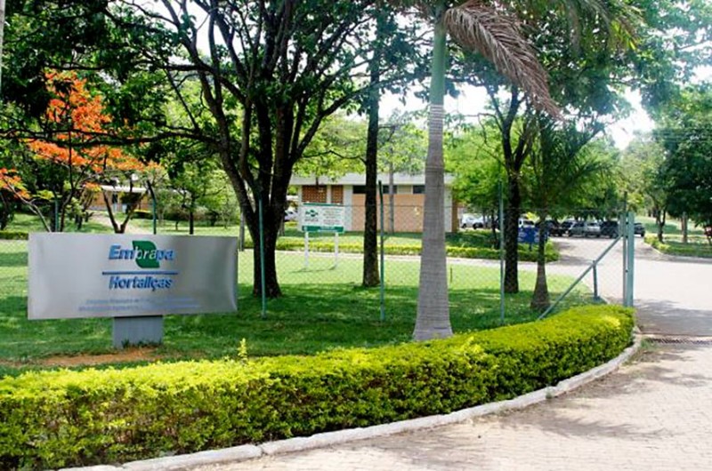 Servidor teria utilizado de seu emprego público e reputação da Embrapa para influenciar a política ambiental do governo na disseminação de informações deturpadas e no negacionismo científico - Paula Rodrigues/Embrapa