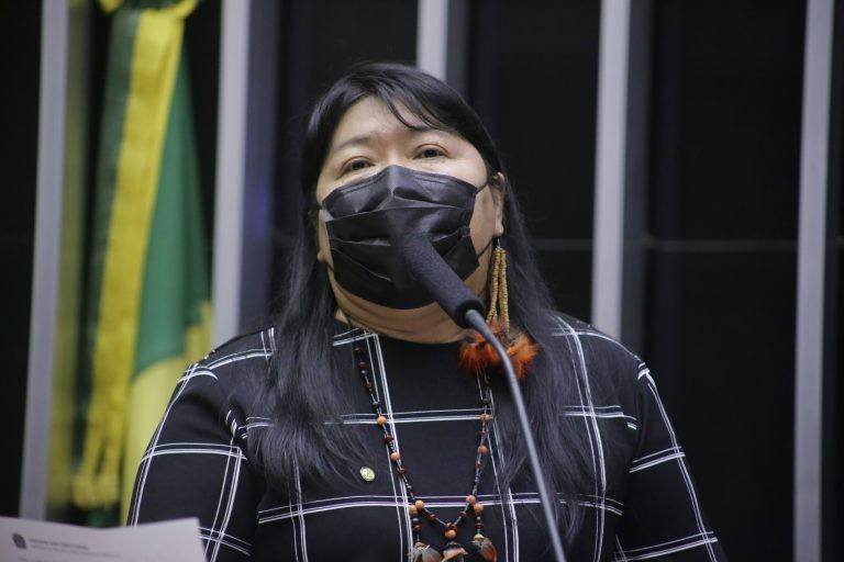 Projeto transforma em lei a atual política de gestão de terras indígenas