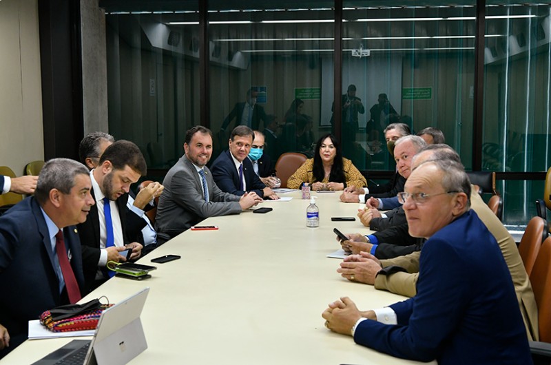 A Comissão Mista de Orçamento, presidida pela senadora Rose de Freitas (MDB-ES), se reuniu nesta quarta-feira - Geraldo Magela/Agência Senado