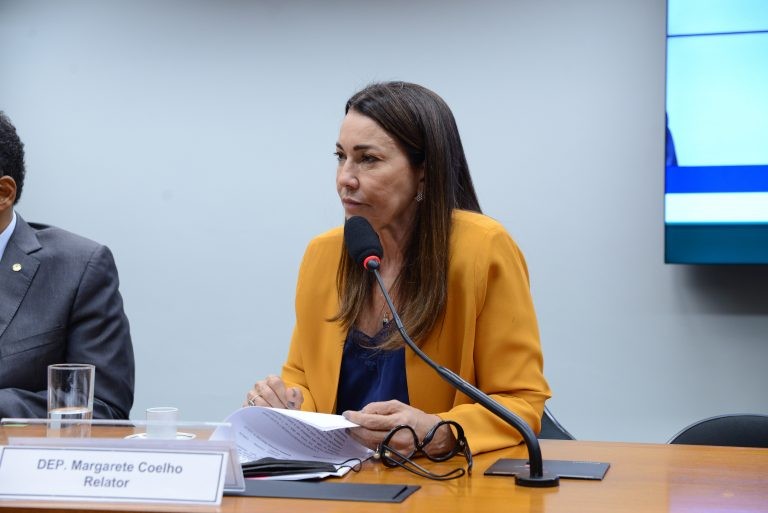 Margarete Coelho afirmou que pandemia de Covid dificultou atuação dos partidos em 2020 - (Foto: Billy Boss/Câmara dos Deputados)