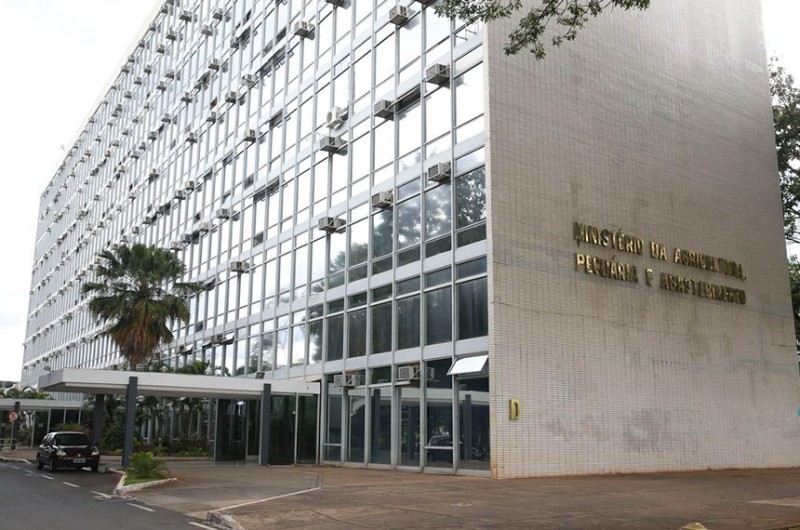 Médicos veterinários temporários do ministério atuam na inspeção do abate de animais - Valter Campanato/Agência Brasil