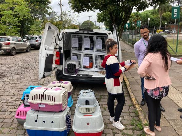 Prefeitura de Bento promete zerar fila de castrações de cães e gatos até agosto
