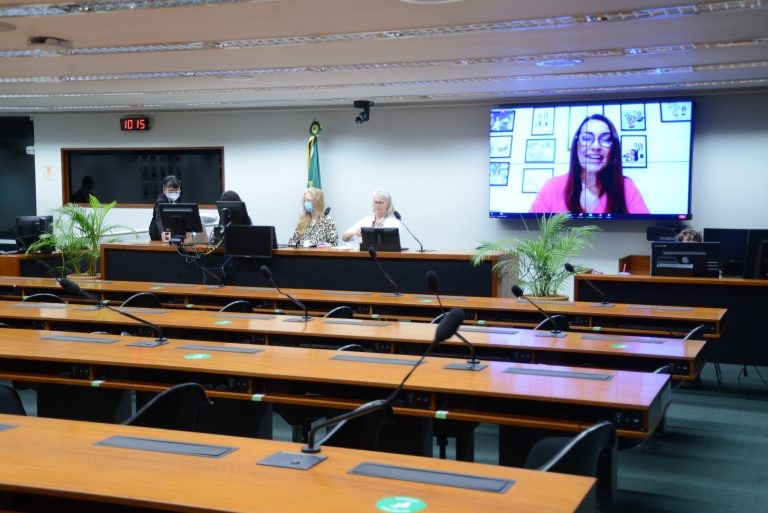Observatório da Mulher na Política relata dificuldade para denunciar violência política de gênero