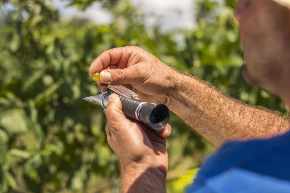 (Foto: Dandy Marchetti)