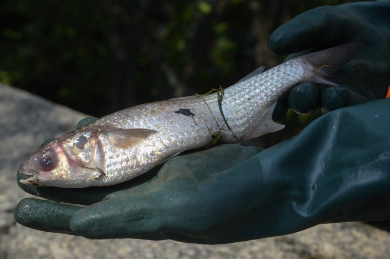 © Tânia Rêgo/Agência Brasil