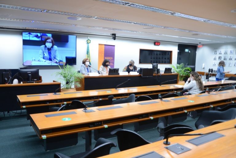 Audiência foi promovida pela Secretaria da Mulher, na Câmara dos Deputados - (Foto: Billy Boss/Câmara dos Deputados)