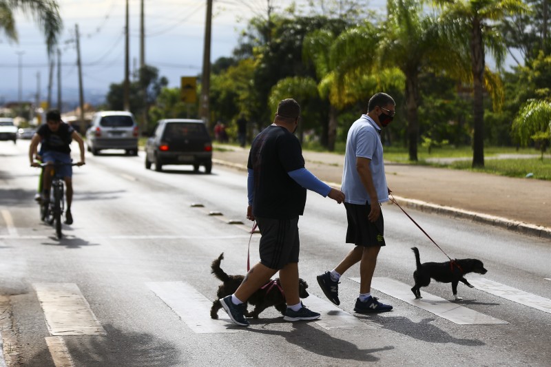 Brasília comemora 24 anos de respeito à faixa de pedestre