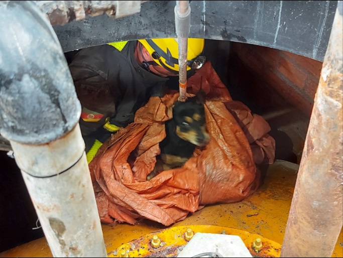 Foto: Corpo de Bombeiros Militar de Bento Gonçalves