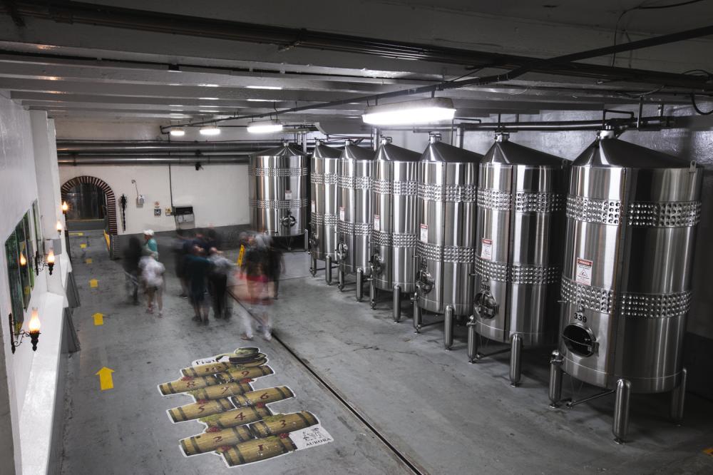 Foto: Eduardo Benini/Divulgação