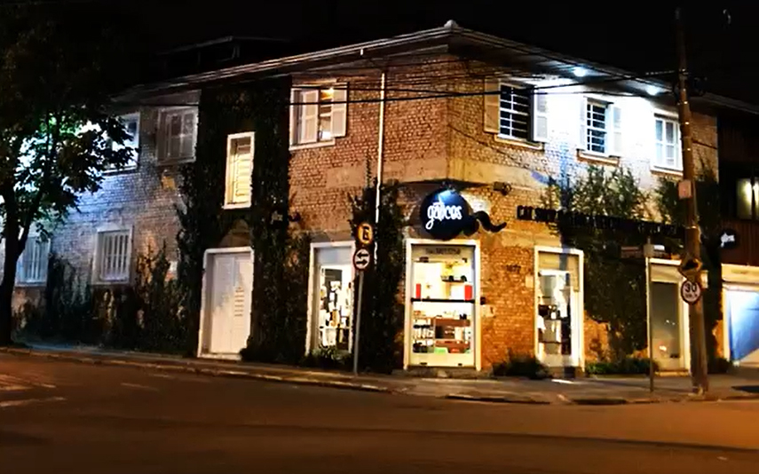 Serra Gaúcha tem o primeiro hospital exclusivo para gatos do Rio Grande do Sul