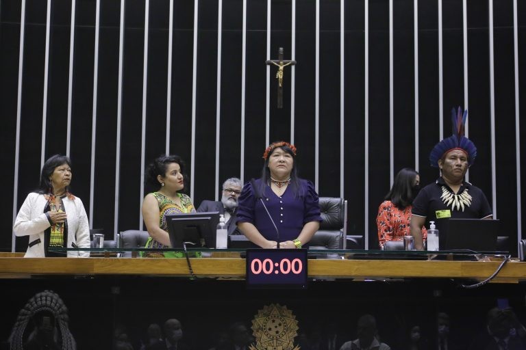Joenia Wapichana: políticas públicas para povos originários estão negligenciadas - (Foto: Paulo Sérgio/Câmara dos Deputados)