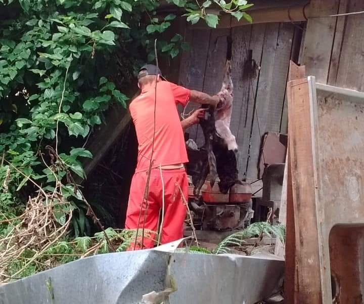 Foto: Batalhão Ambiental