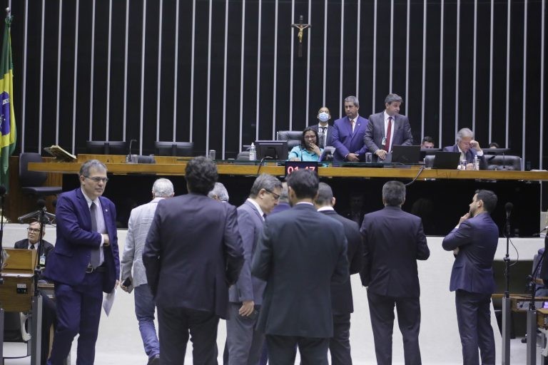 Perpétua Almeida, autora da emenda aprovada - (Foto: Paulo Sergio/Câmara dos Deputados)
