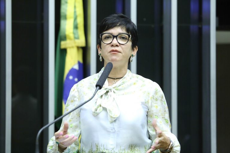 Alê Silva: é importante deixar claro o que é permitido ou não - (Foto: Antônio Augusto/Câmara dos Deputados)