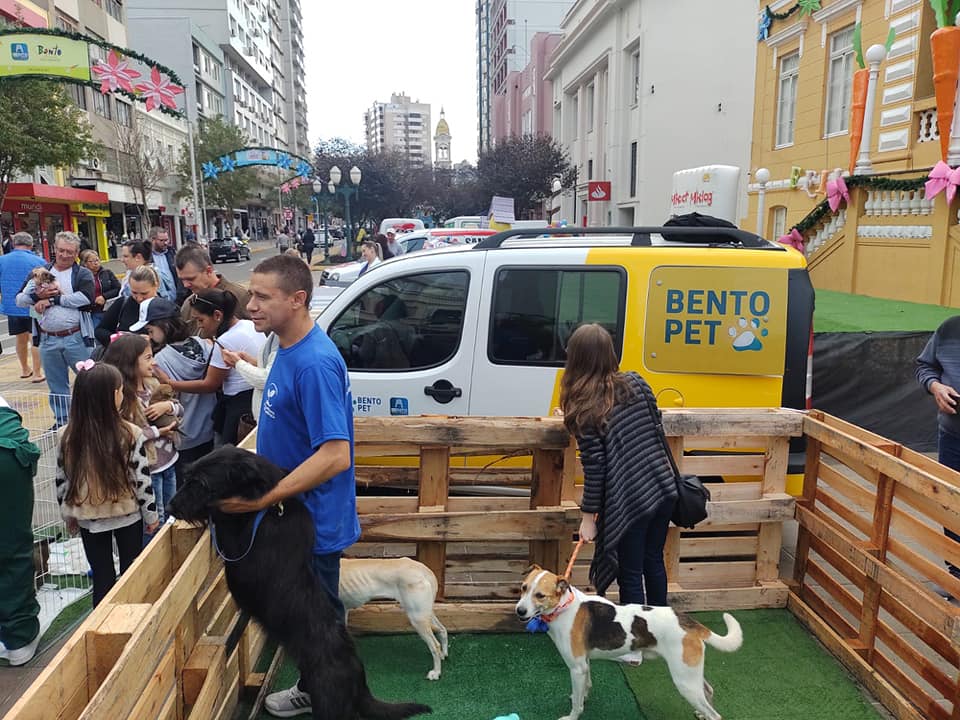 Pelo menos 29 animais ganharam um novo lar na feira de adoção do Bento PET