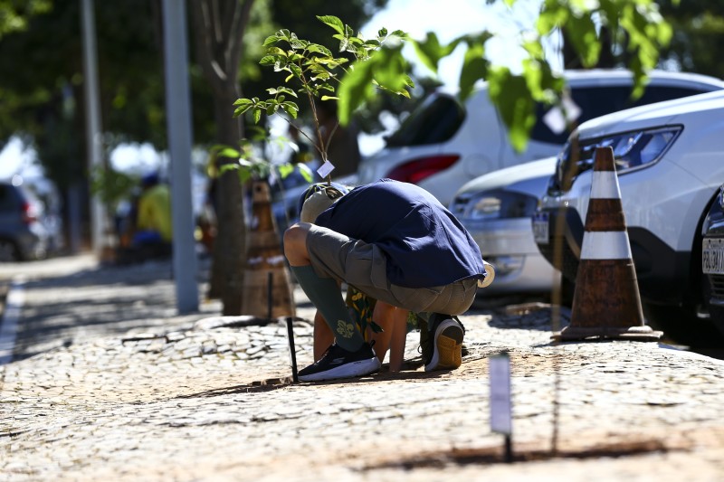 © Marcelo Camargo/Agência Brasil