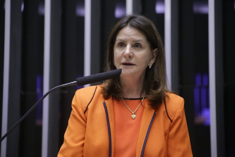 Carmen Zanotto, relatora do projeto - (Foto: Paulo Sergio/Câmara dos Deputados)