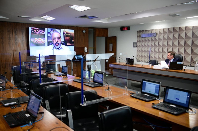 Paulo Paim (na tela) foi o relator do projeto, que agora deve seguir para a Câmara dos Deputados - Pedro França/Agência Senado