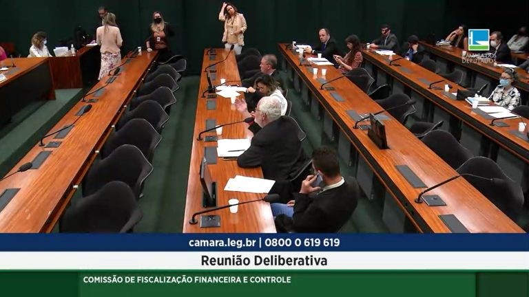 Comissão transformou pedido de convocação em convite - (Foto: Reprodução/TV Câmara)