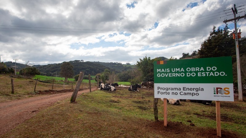 Qualificação da rede de distribuição de energia elétrica, previsto no programa, beneficia centenas de famílias rurais no RS - Foto: Felipe Dalla Valle