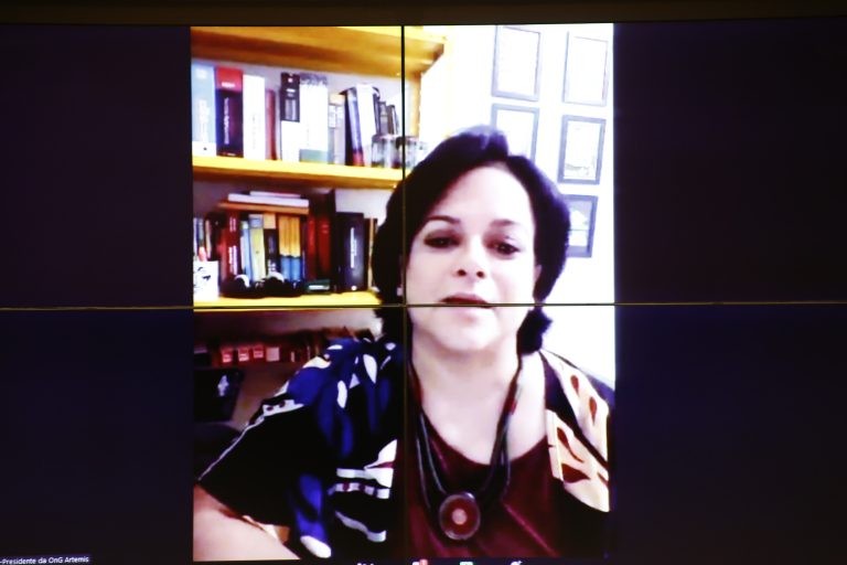 Raquel Marques: recursos do BPC poderiam ser usados para atender vítimas - (Foto: Elaine Menke/Câmara dos Deputados)