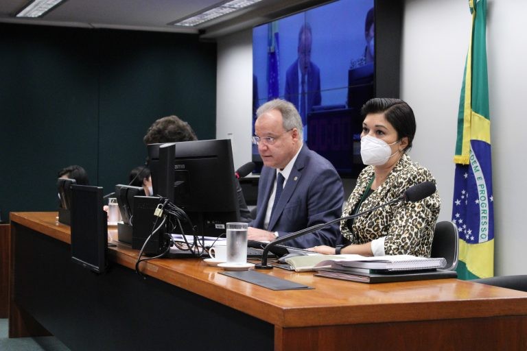 O GT foi criado em março e tem 120 dias para concluir os trabalhos - (Foto: Elaine Menke/Câmara dos Deputados)