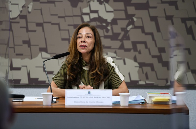 A indicação da diplomata Claudia de Borba Maciel foi aprovada por 38 votos a favor, dois contrários e duas abstenções. - Edilson Rodrigues/Agência Senado