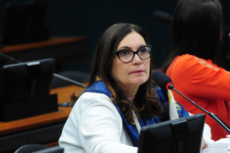 Bia Kicis, relatora da MP - (Foto: Billy Boss/Câmara dos Deputados)