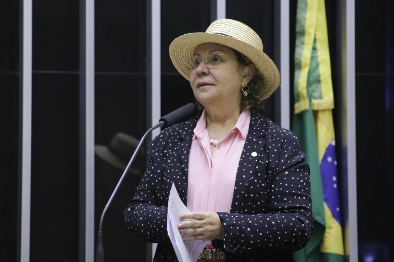 Tereza Nelma: ideia é valorizar quem atua em prol da criança e do adolescente - (Foto: Paulo Sérgio/Câmara dos Deputados)