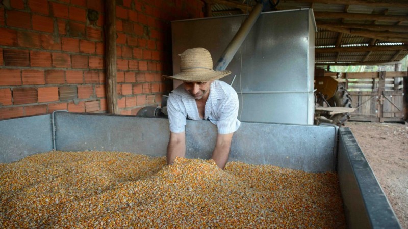 Pessoas físicas poderão acessar financiamentos entre R$ 5 mil e R$ 15 mil - Foto: Fernando Dias / Seapdr