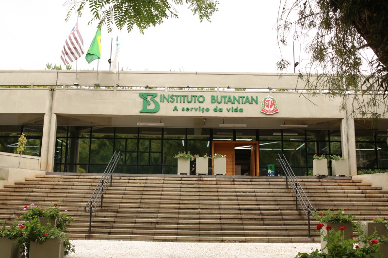 © Rovena Rosa/Agência Brasil