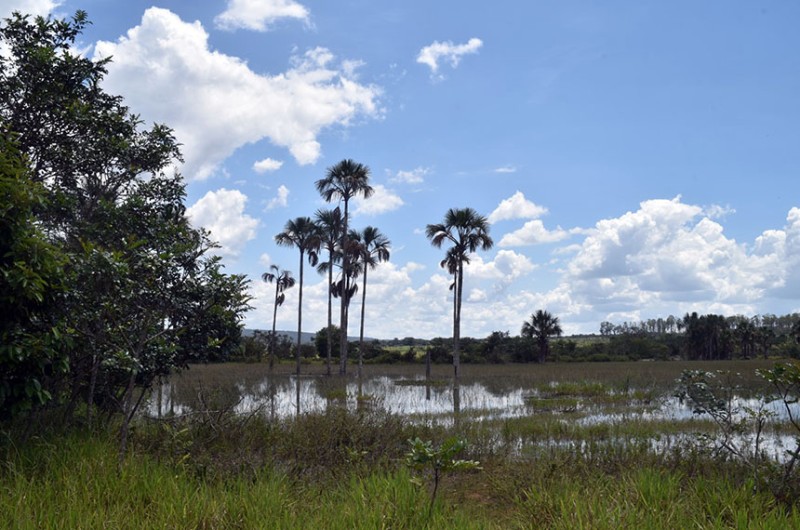Para o autor do projeto, Jorginho Mello, a medida se justifica pelos ganhos de produtividade que levaria à agricultura brasileira sem a necessidade de expandir a área plantada - Fernando Bizerra/Agência Senado