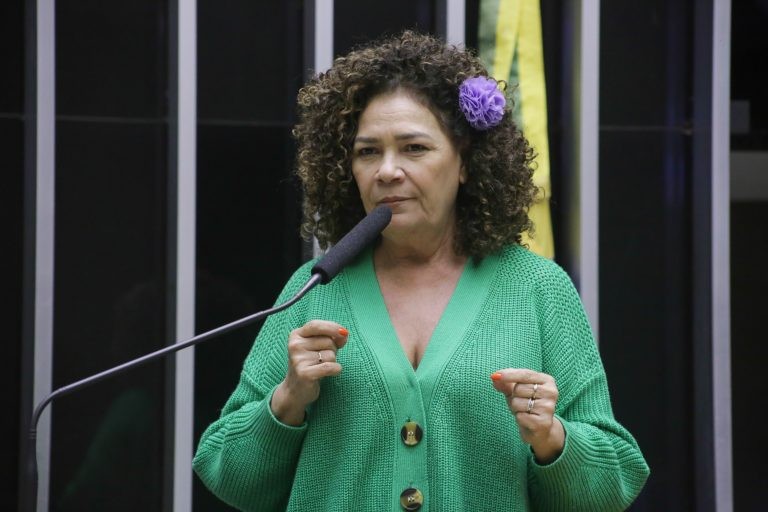 A presidente da subcomissão, deputada Perpétua Almeida - (Foto: Paulo Sérgio/Câmara dos Deputados)