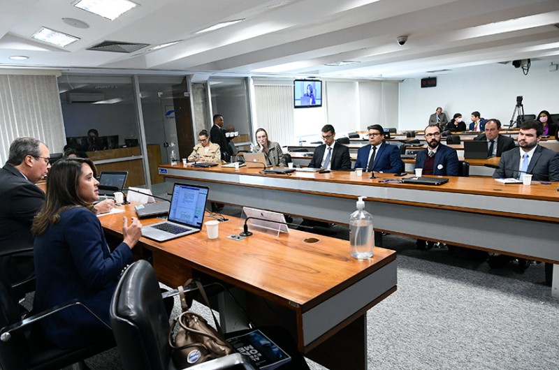 Relatora do colegiado, a jurista Laura Schertel Mendes (1ª à esq.) apresenta balanço dos debates