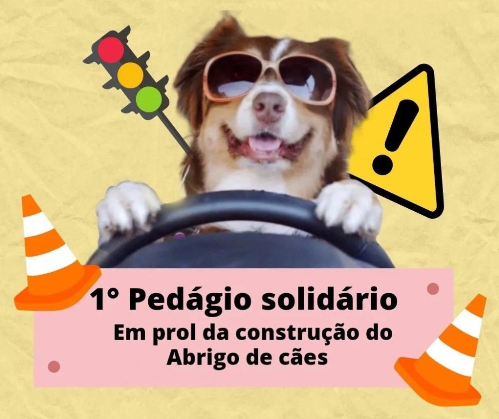 Além das contribuições em dinheiro, também estarão recebendo doações de rações, mantas ou roupinhas serão aceitas. 