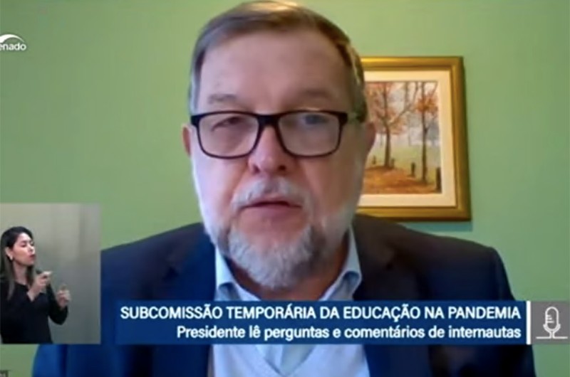 O presidente da comissão temporária, Flávio Arns, comandou a audiência remota - Reprodução TV Senado