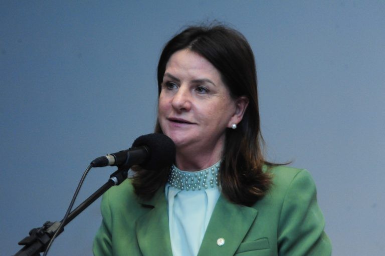 Zanotto pediu maior acesso das mulheres à cirurgia de reconstrução de mama - (Foto: Billy Boss/Câmara dos Deputados)