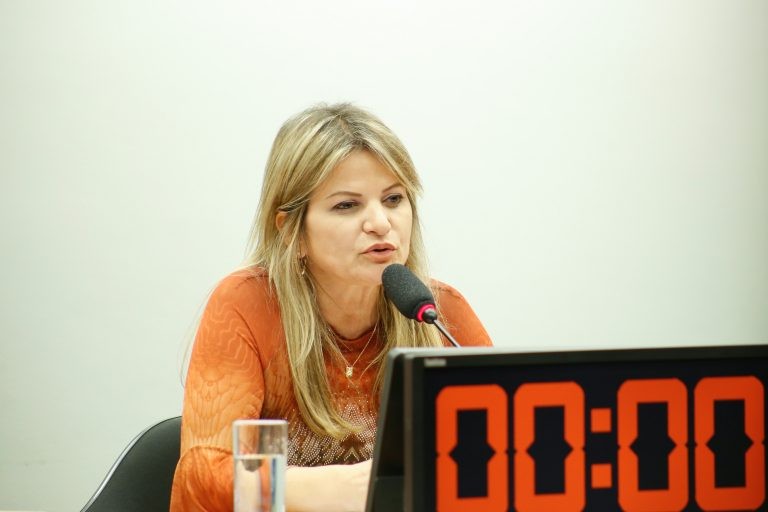 Flávia Morais: pagamento extra é investimento na economia - (Foto: Elaine Menke/Câmara dos Deputados)