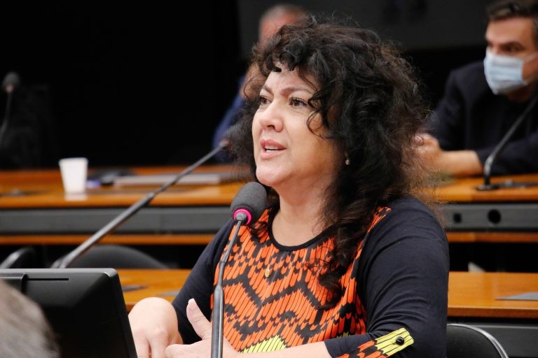 Christiane de Souza Yared: resolução do Contran já garante a participação de entidades civis - (Foto: Marina Ramos/Câmara dos Deputados)
