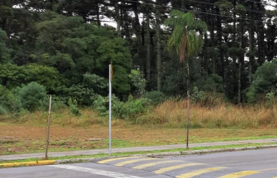 Jovem marca encontro, estupra e rouba mulher em Bento Gonçalves